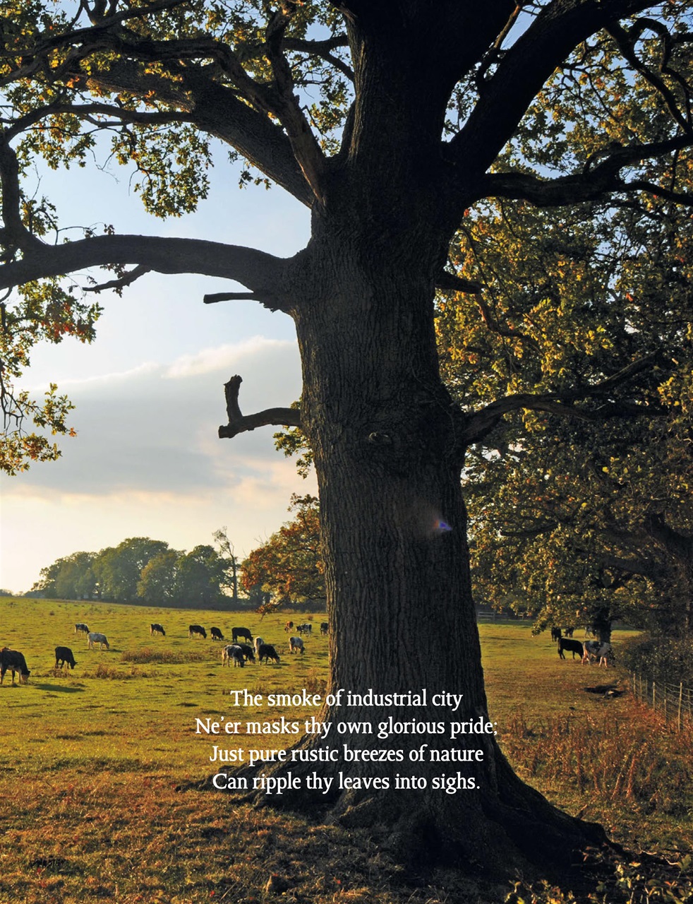 This England Preview Pages