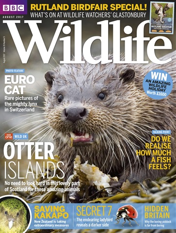 BBC Wildlife Magazine issue August 2017