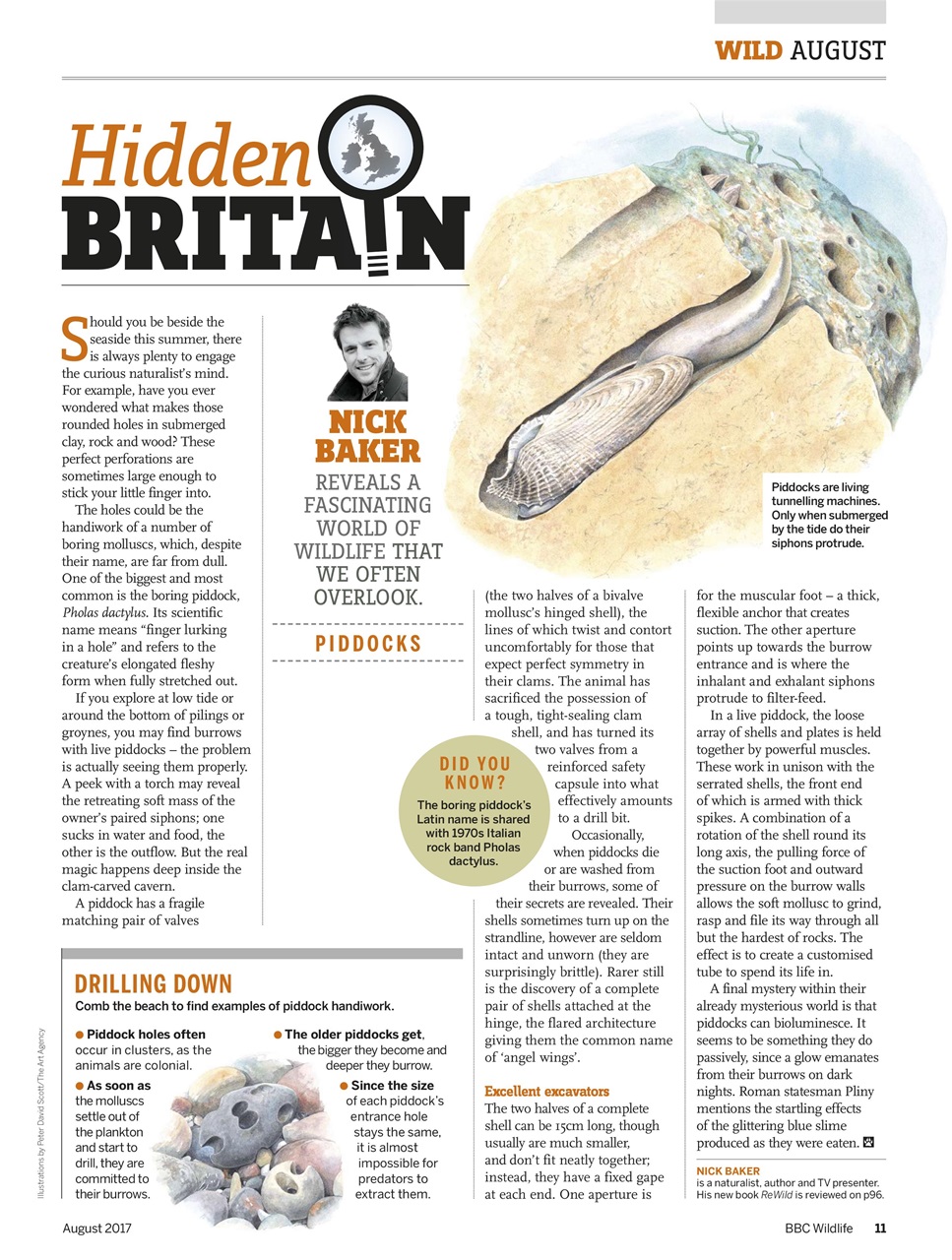 BBC Wildlife Magazine Preview Pages