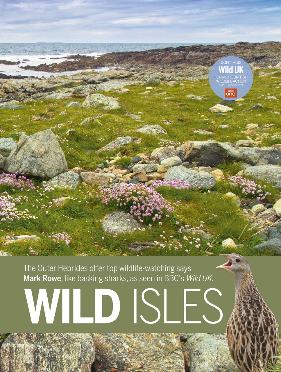 BBC Wildlife Magazine Preview Pages