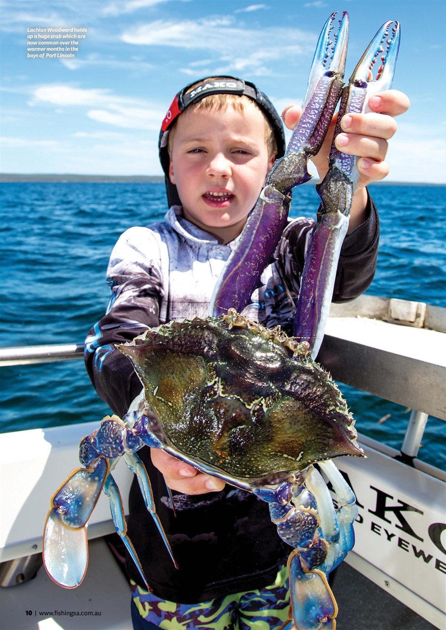 Fishing SA Preview Pages