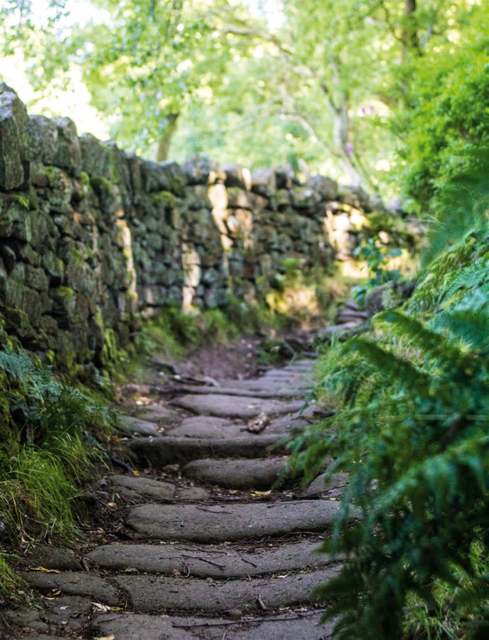 Singletrack Preview Pages