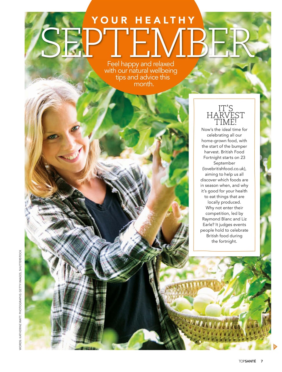 Top Sante Preview Pages