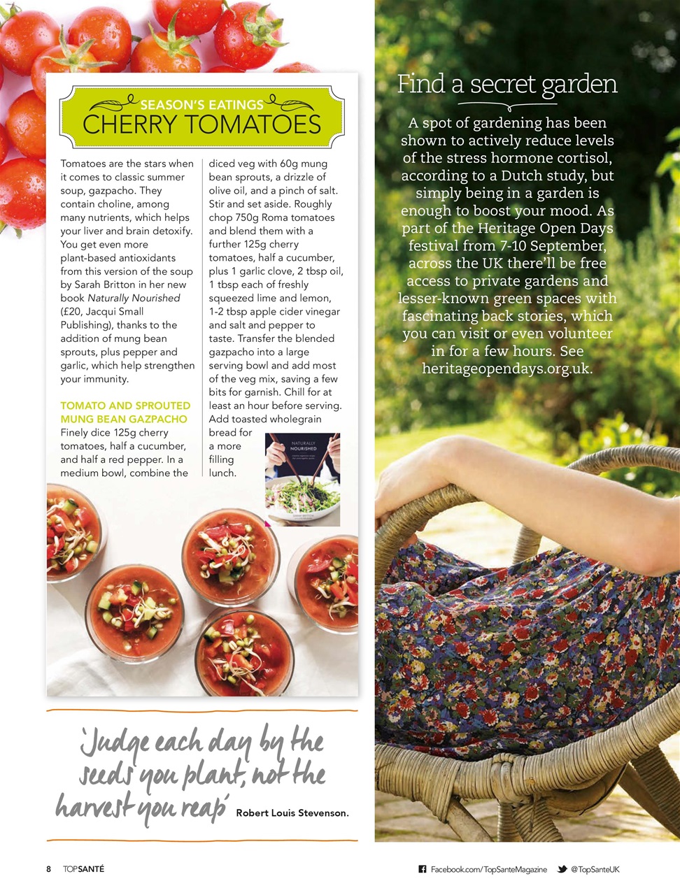 Top Sante Preview Pages