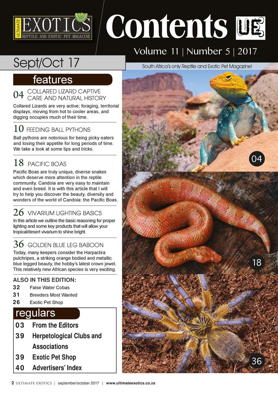 Ultimate Exotics Preview Pages