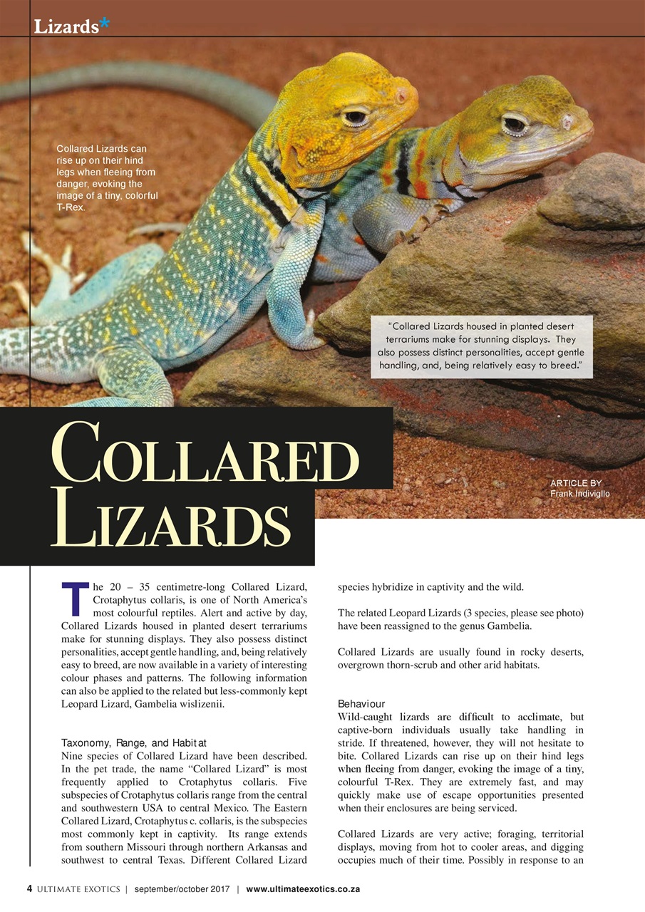 Ultimate Exotics Preview Pages