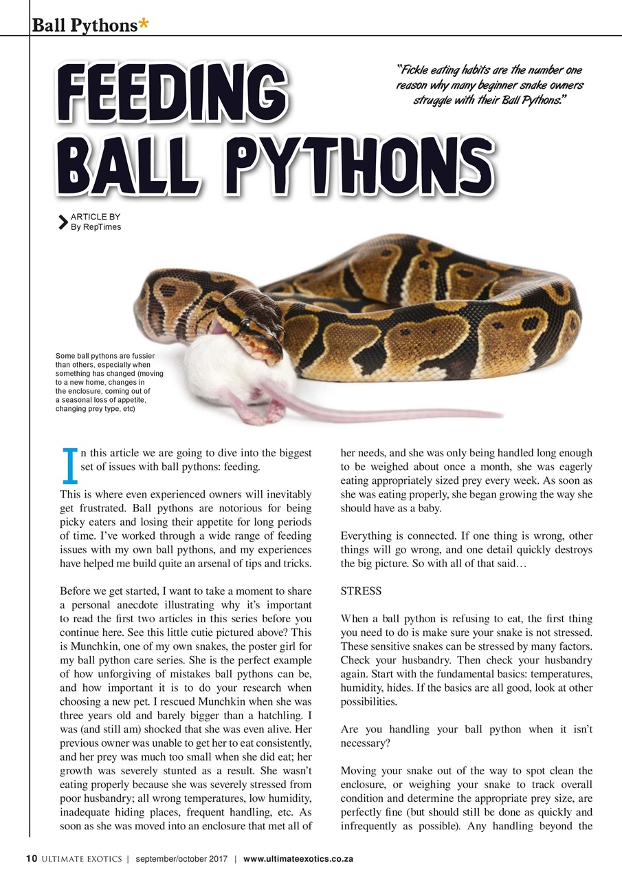 Ultimate Exotics Preview Pages