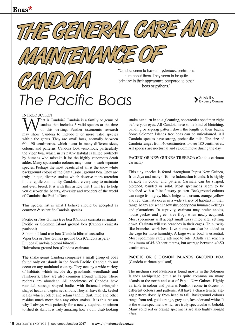 Ultimate Exotics Preview Pages