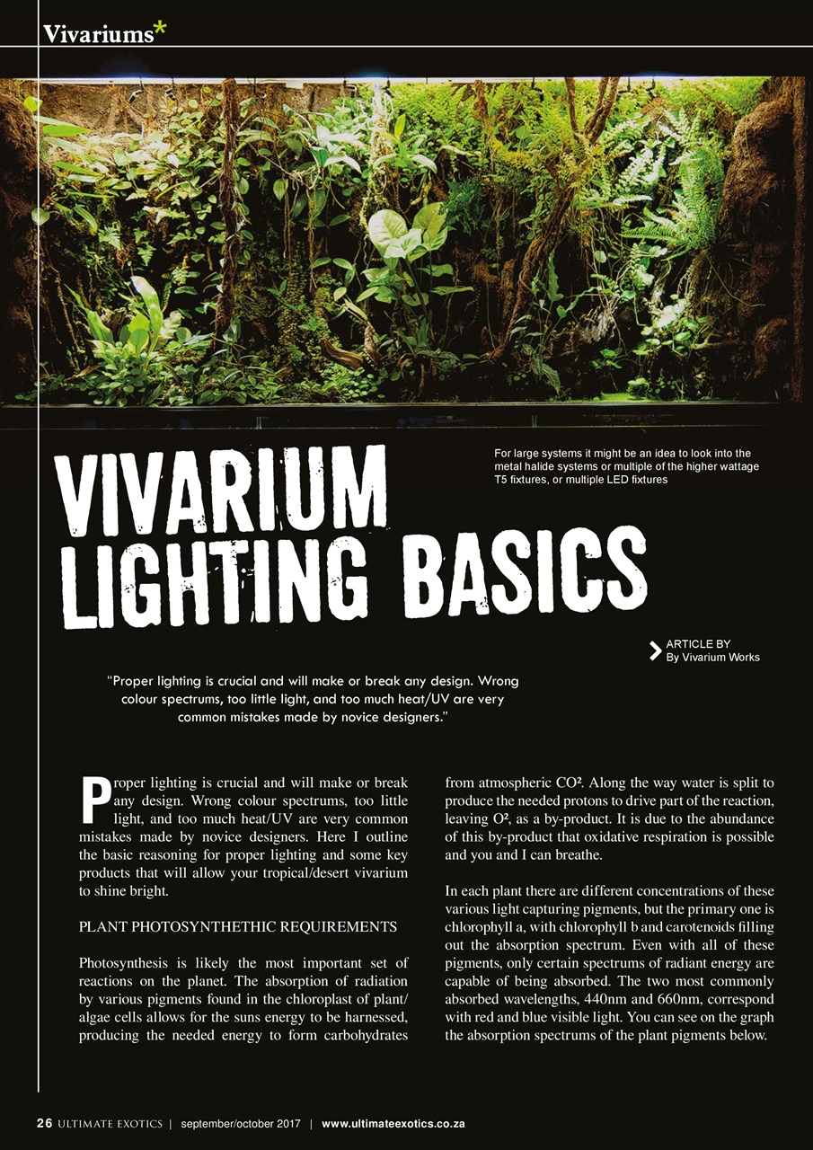 Ultimate Exotics Preview Pages