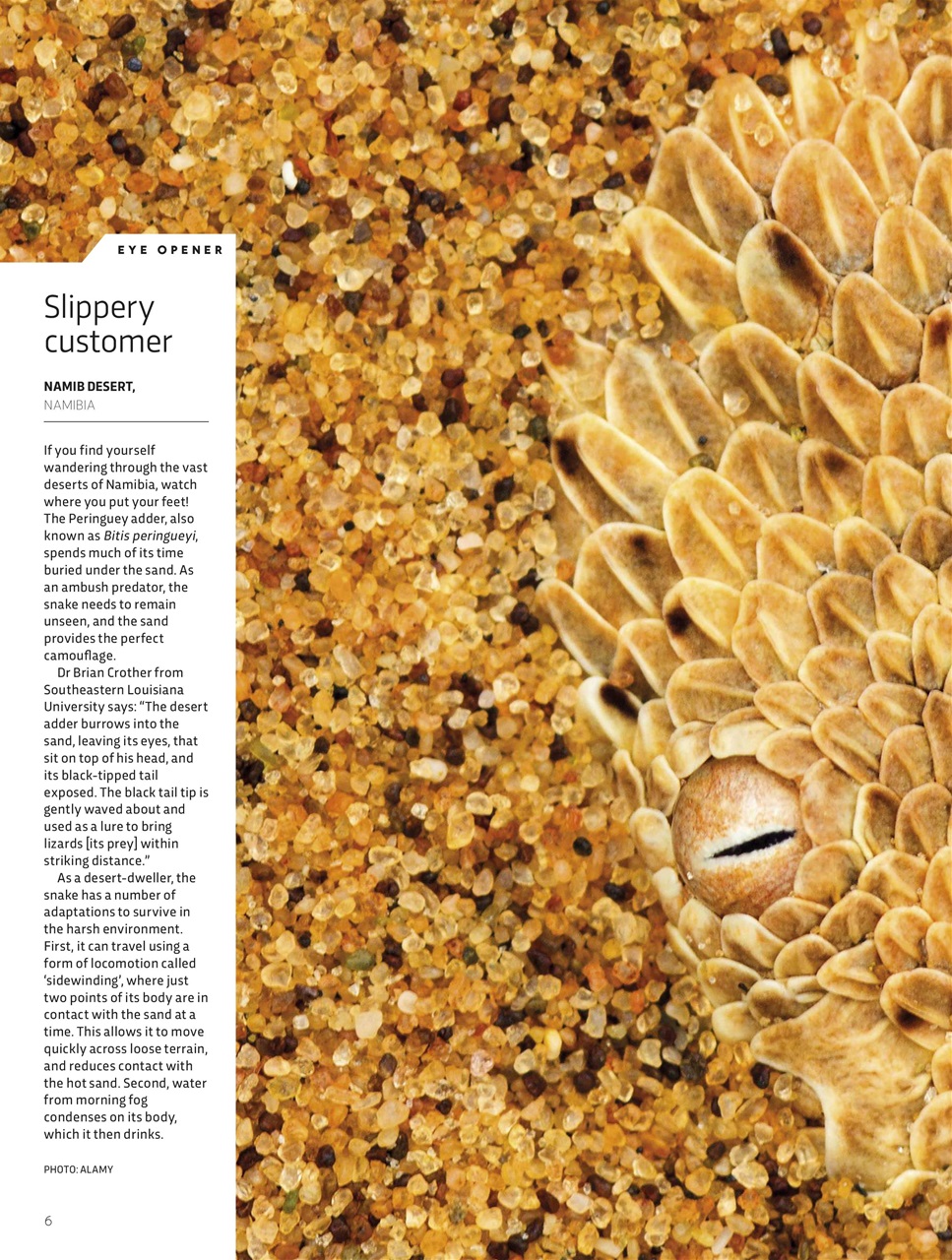 BBC Science Focus Magazine Preview Pages