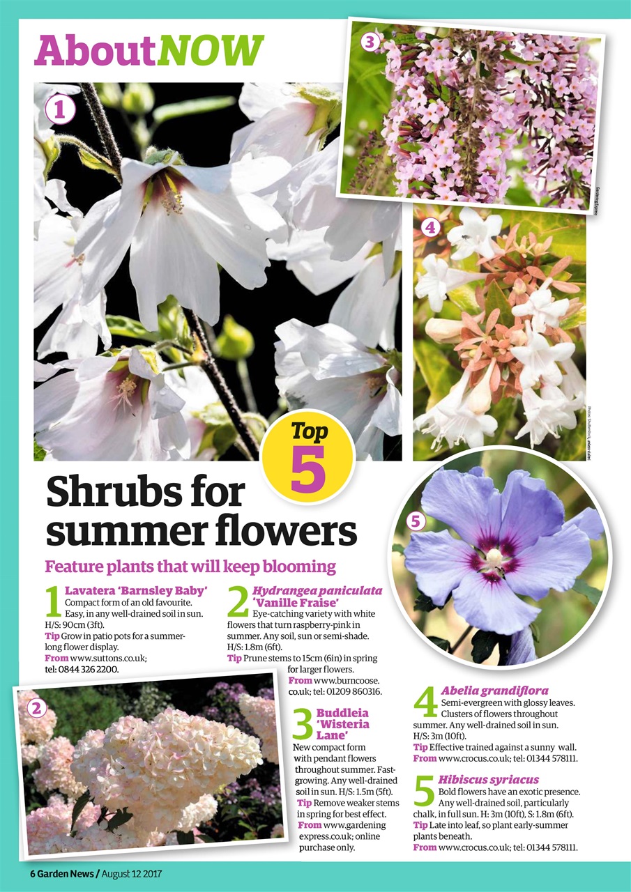 Garden News Preview Pages
