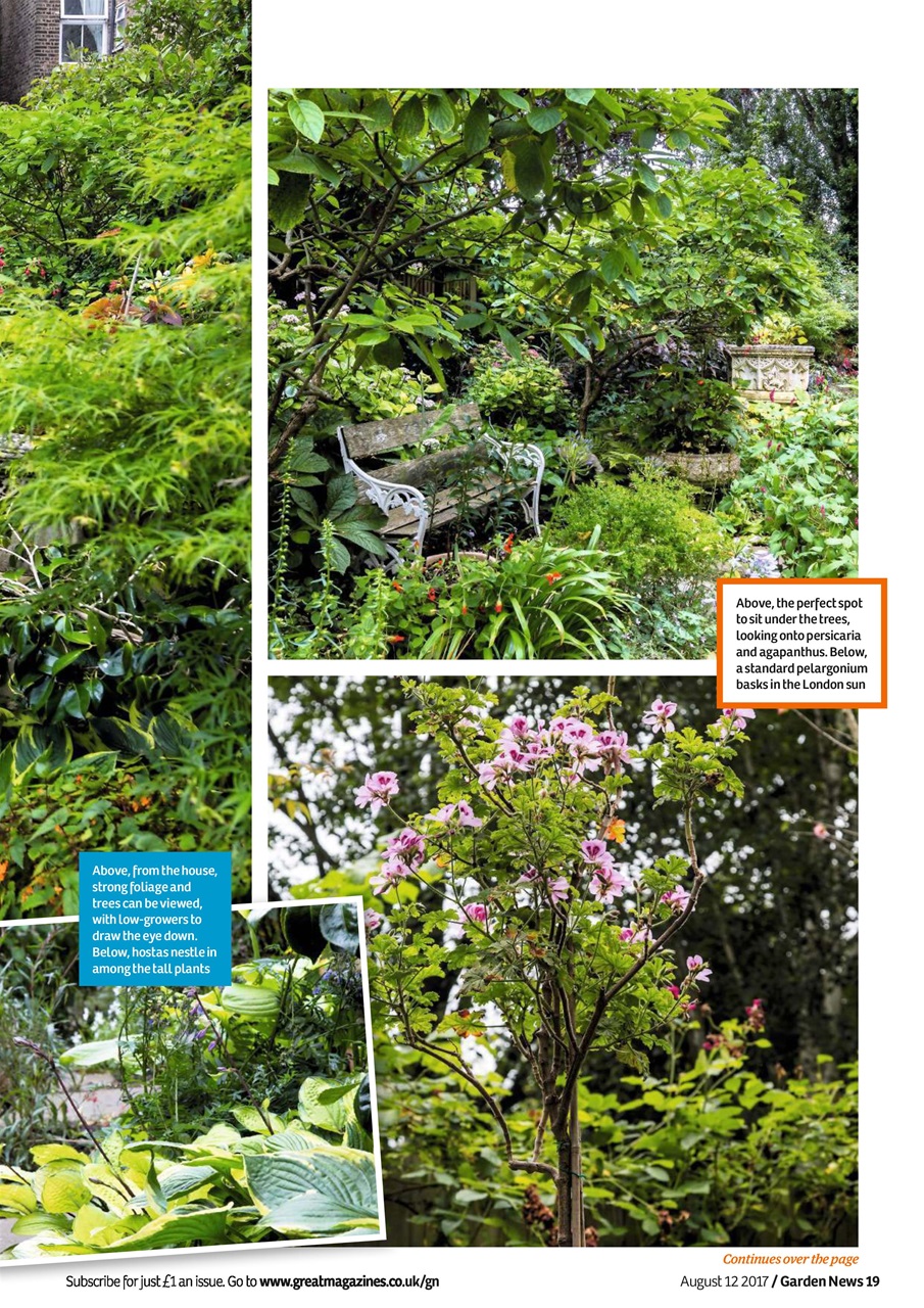 Garden News Preview Pages