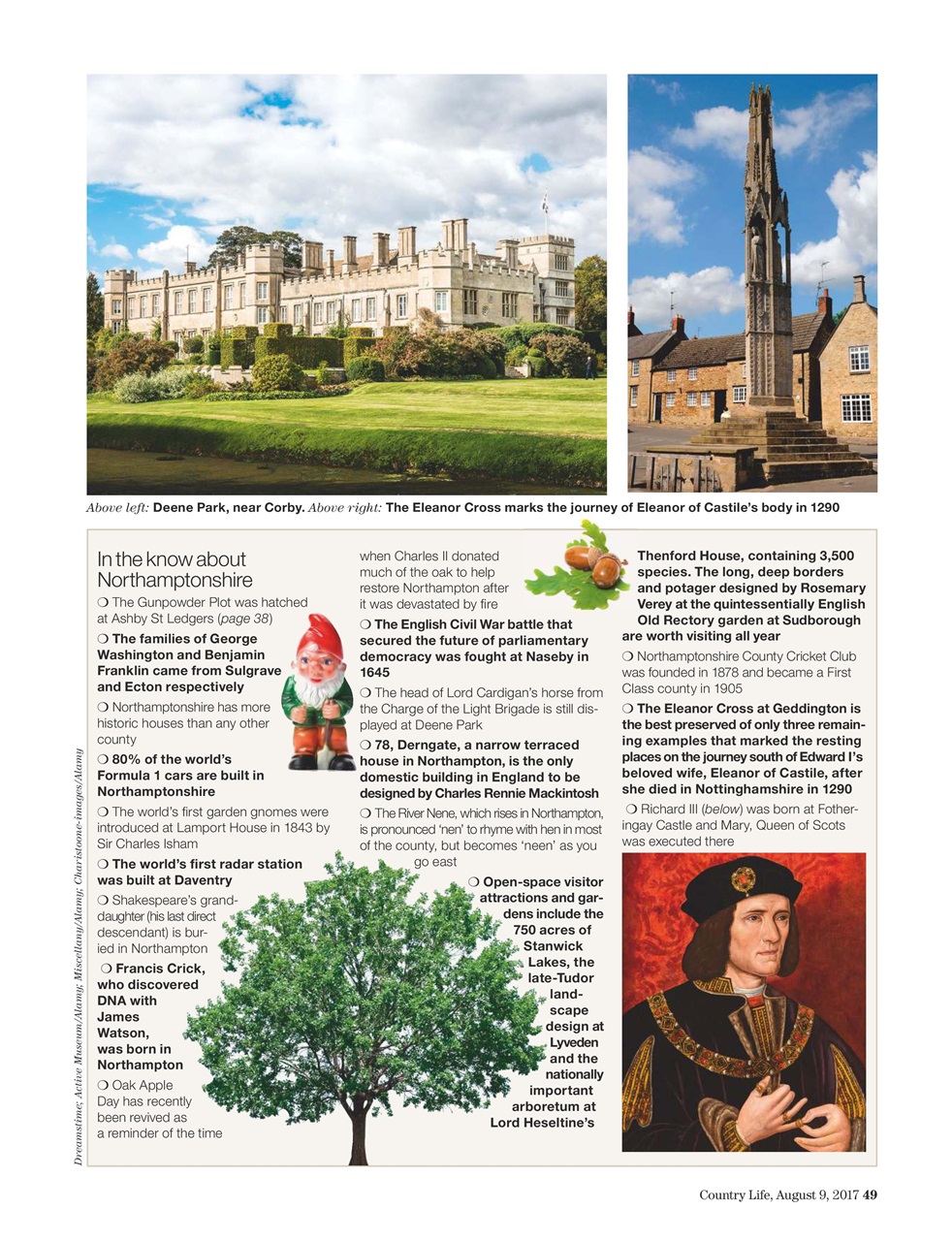 Country Life Preview Pages