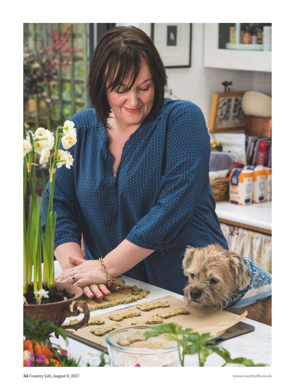 Country Life Preview Pages