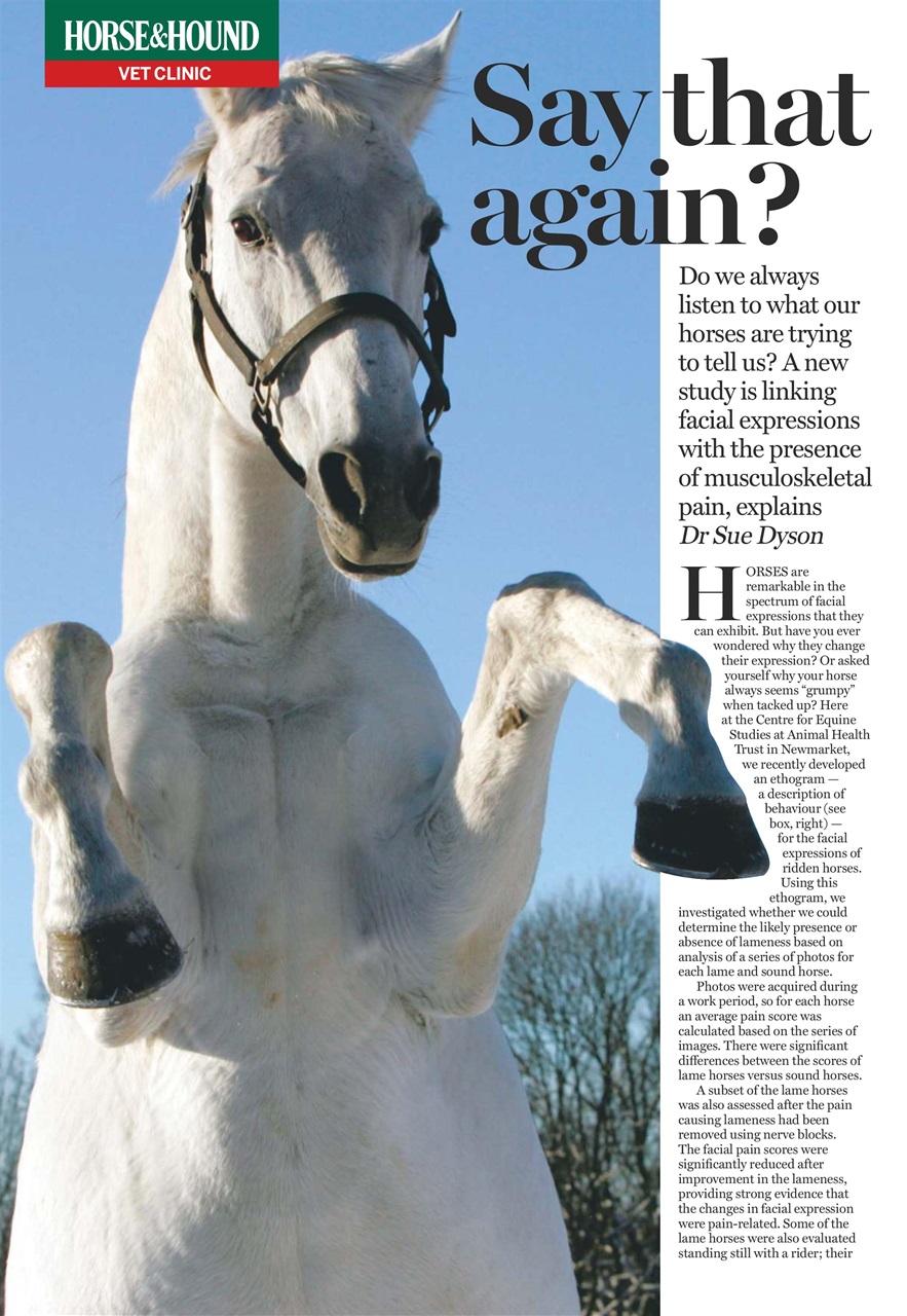 Horse & Hound Preview Pages