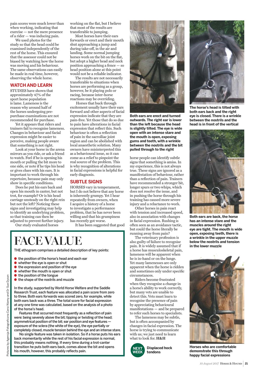 Horse & Hound Preview Pages
