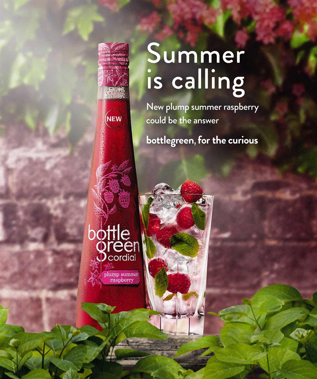 Olive Magazine Preview Pages