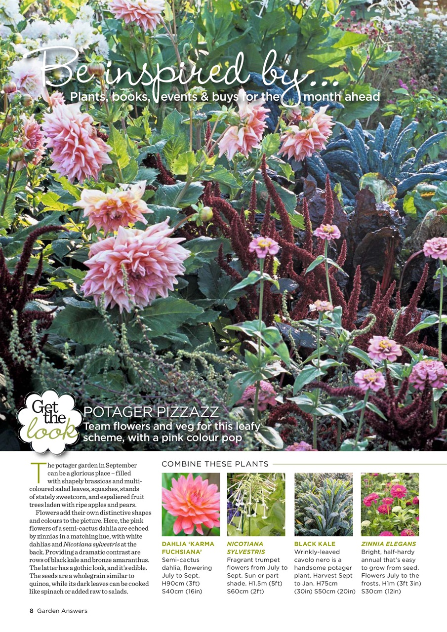 Garden Answers Preview Pages