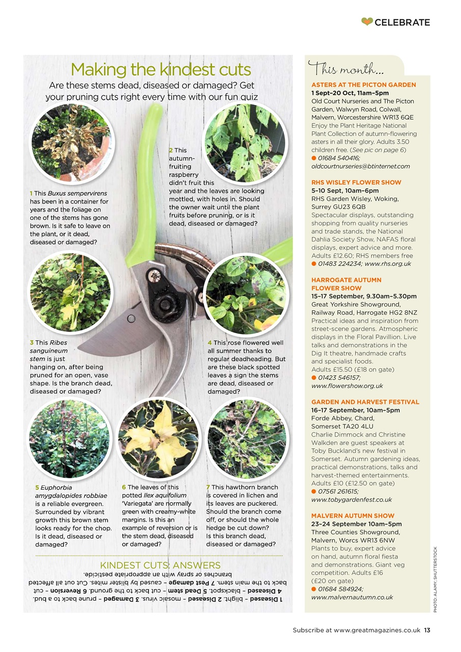 Garden Answers Preview Pages