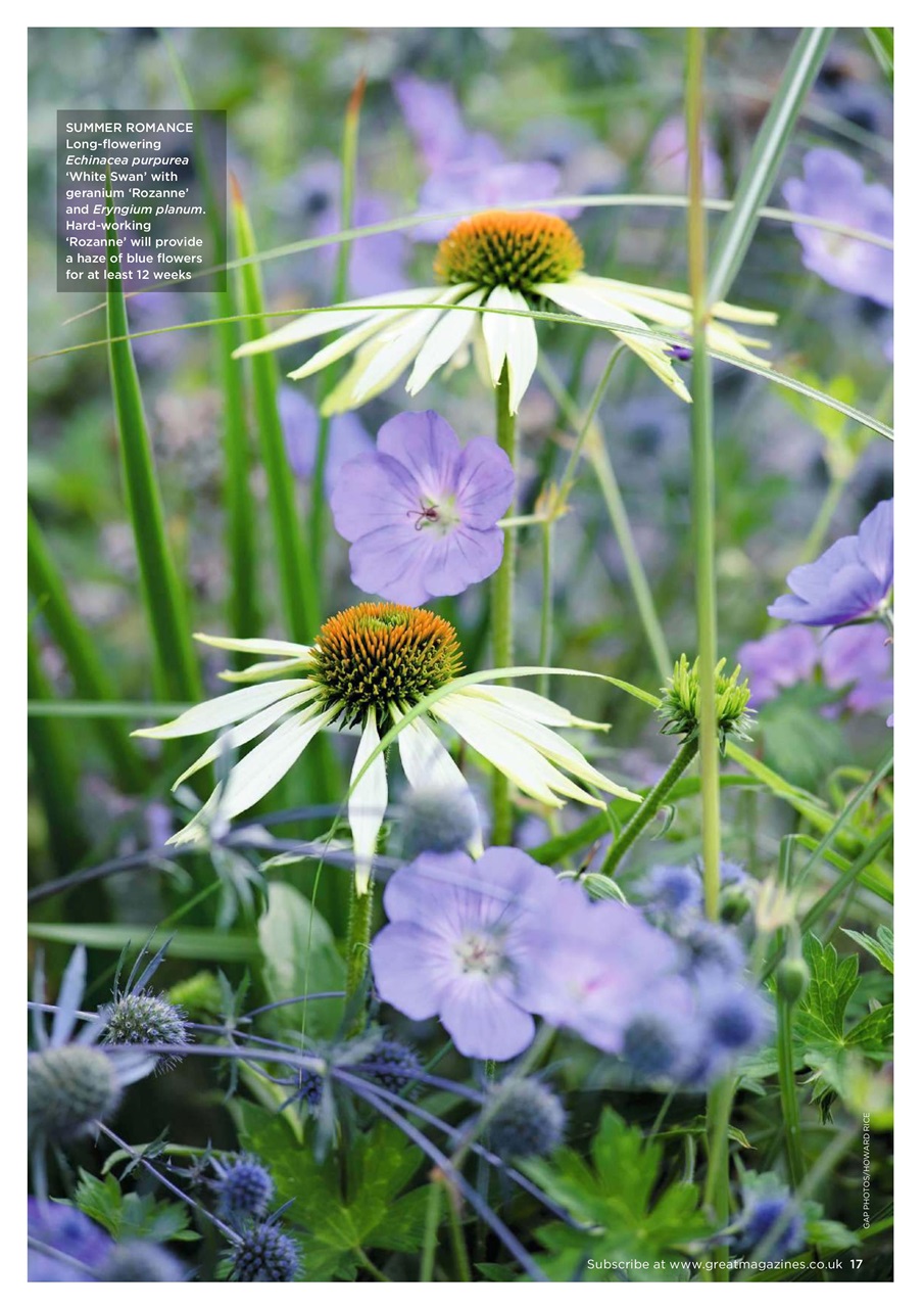 Garden Answers Preview Pages