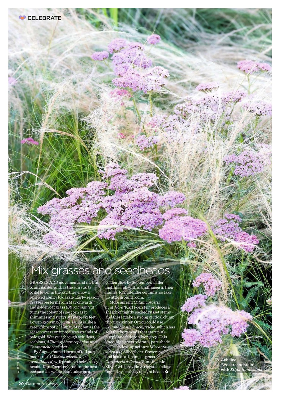 Garden Answers Preview Pages