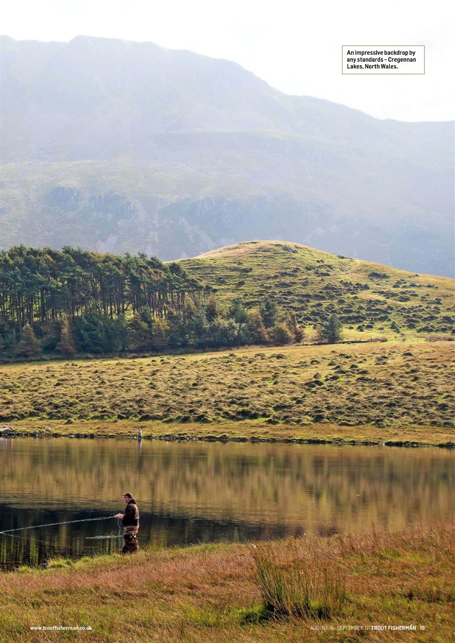 Trout Fisherman Preview Pages
