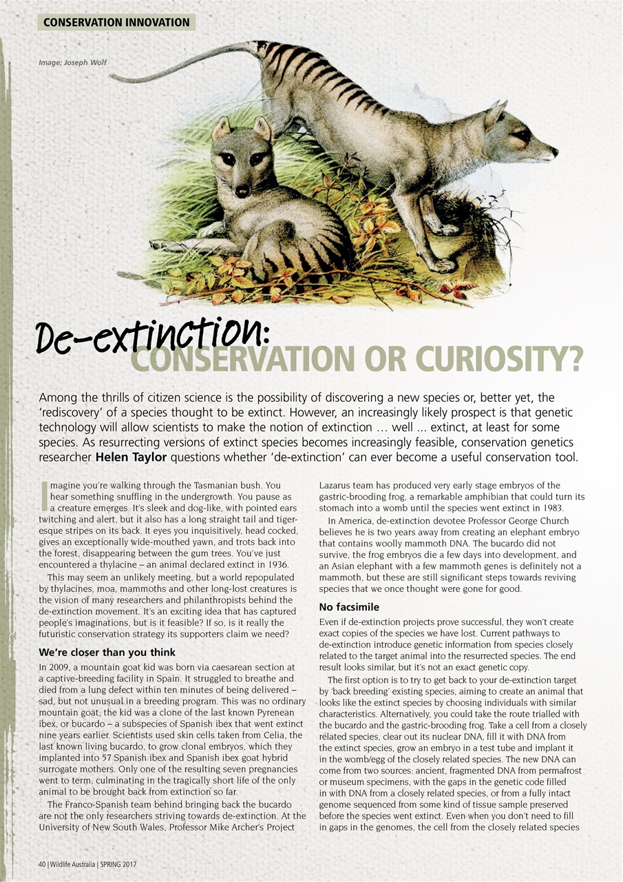 Wildlife Australia Preview Pages