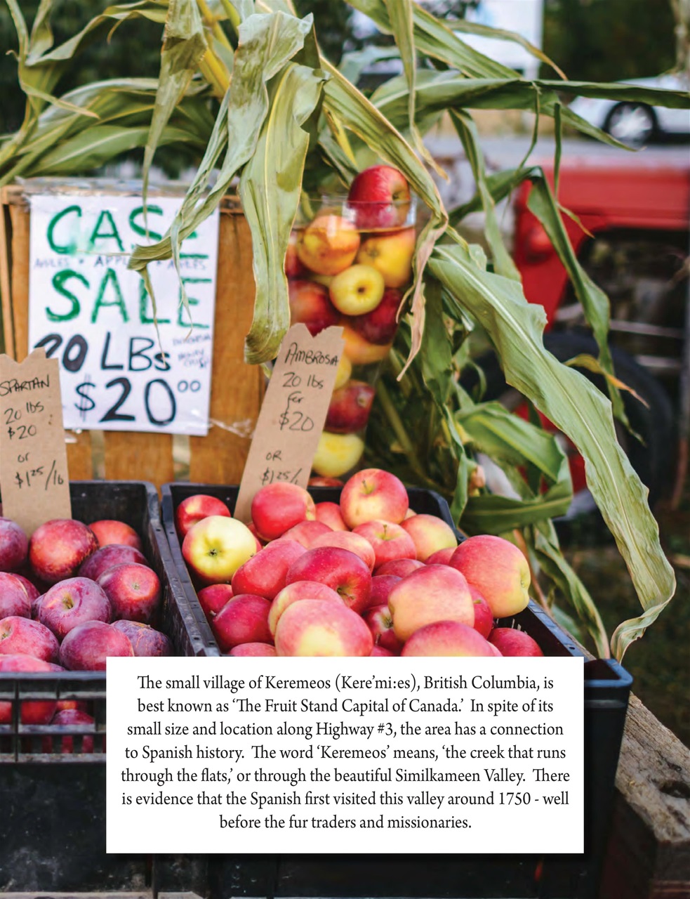 Snowbirds & RV Travelers Preview Pages
