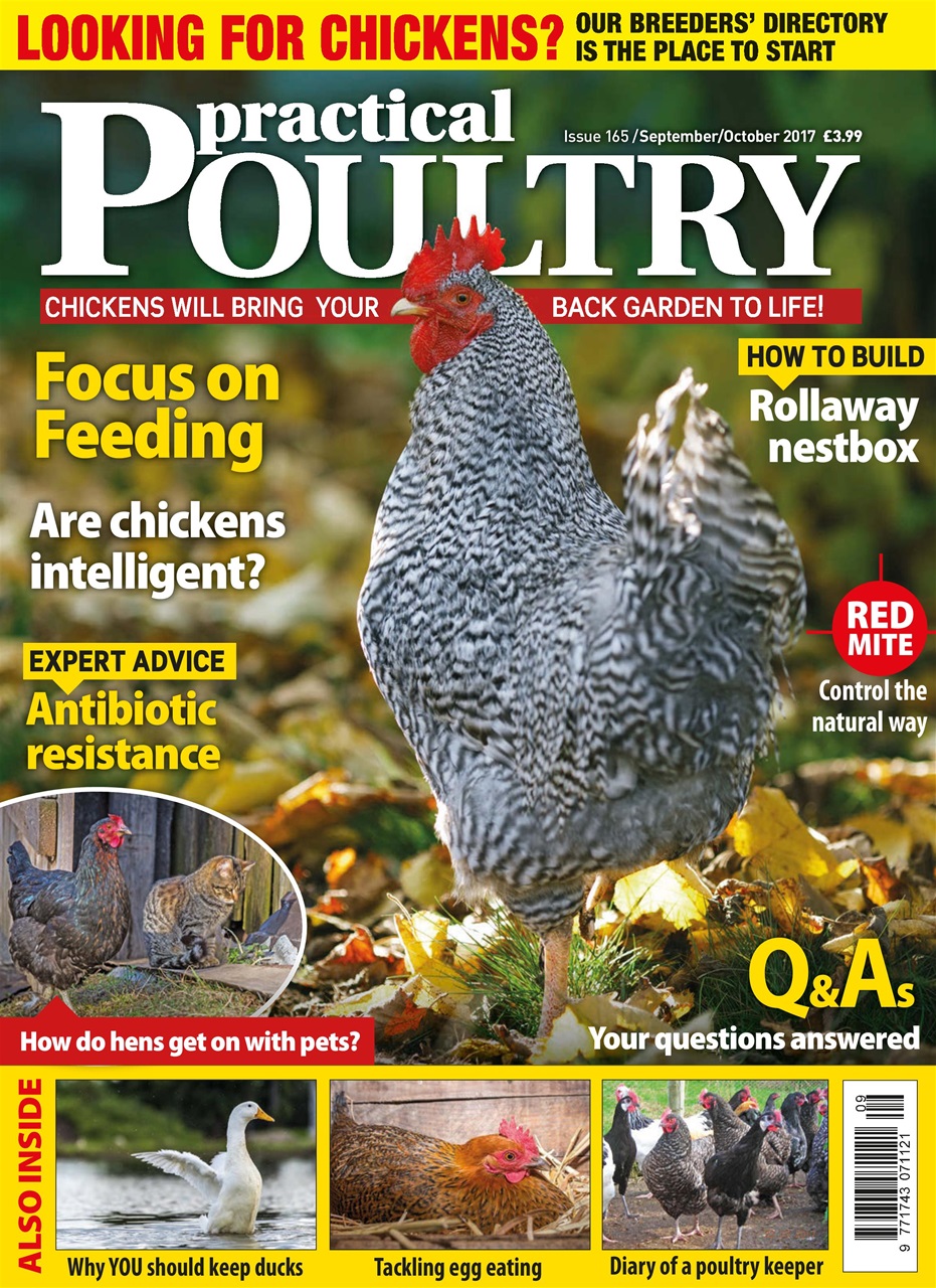 Practical Poultry Preview Pages
