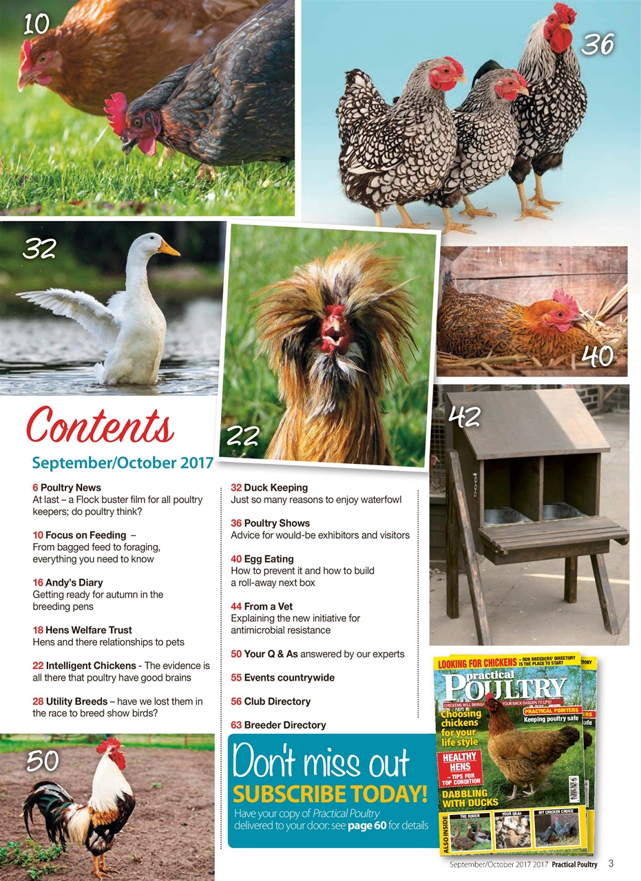 Practical Poultry Preview Pages