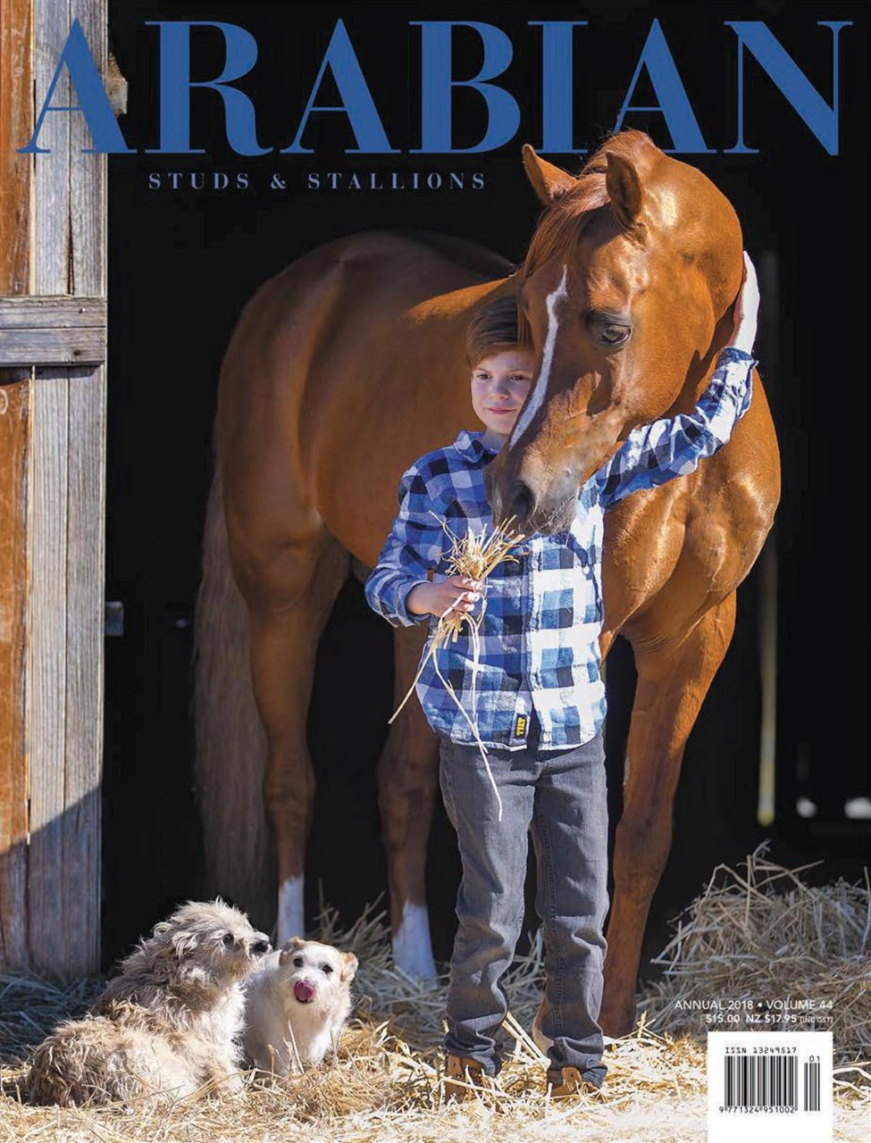 Arabian Studs & Stallions Preview Pages