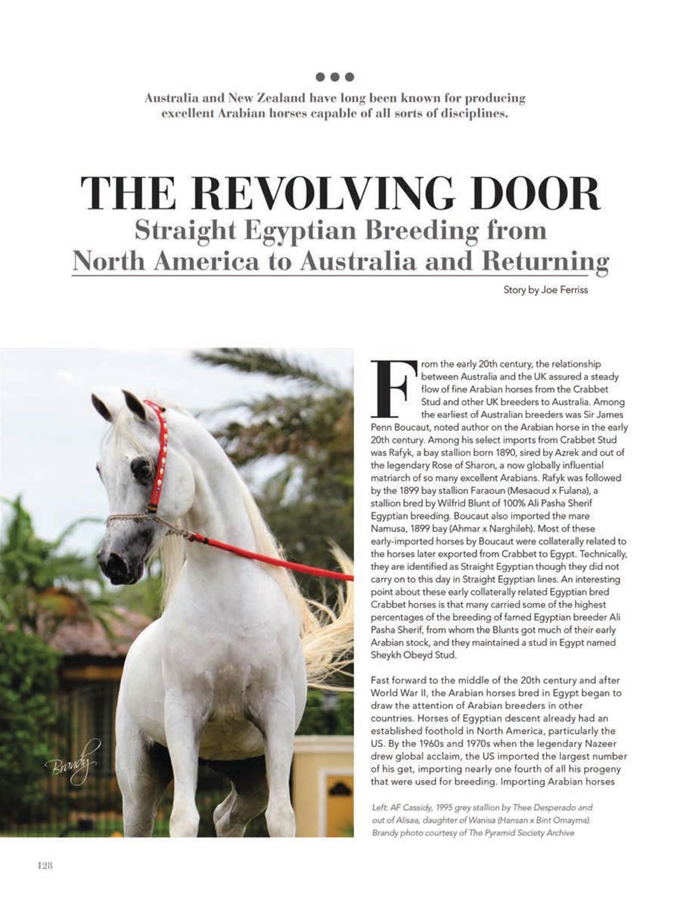 Arabian Studs & Stallions Preview Pages