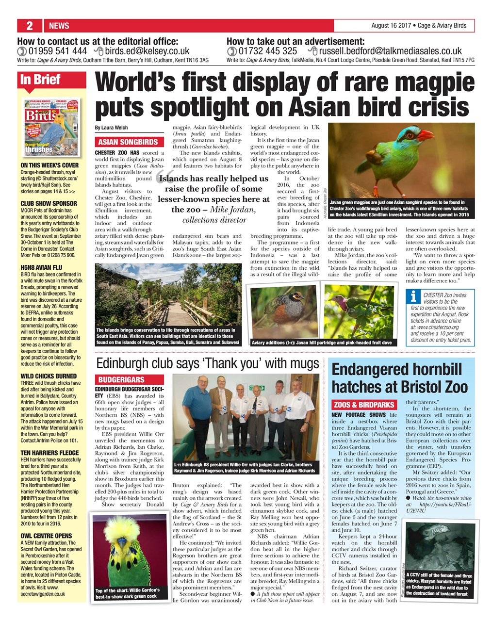 Cage & Aviary Birds Preview Pages