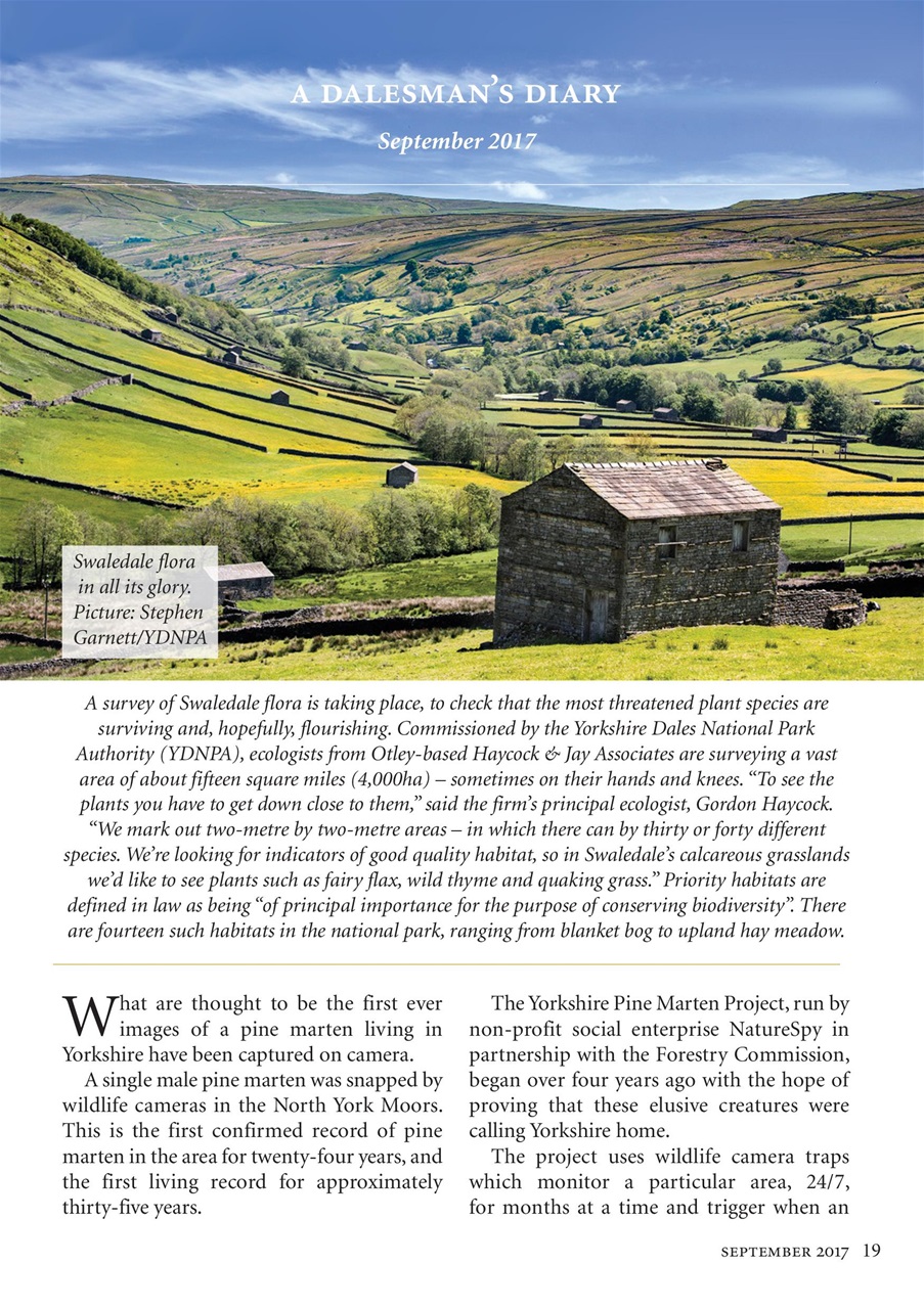 The Yorkshire Dalesman Preview Pages