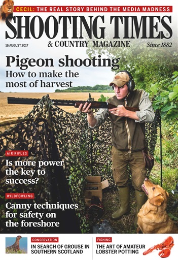 Shooting Times & Country issue 