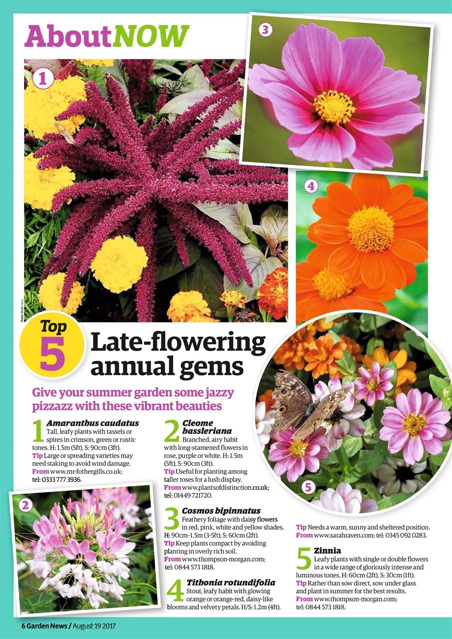 Garden News Preview Pages