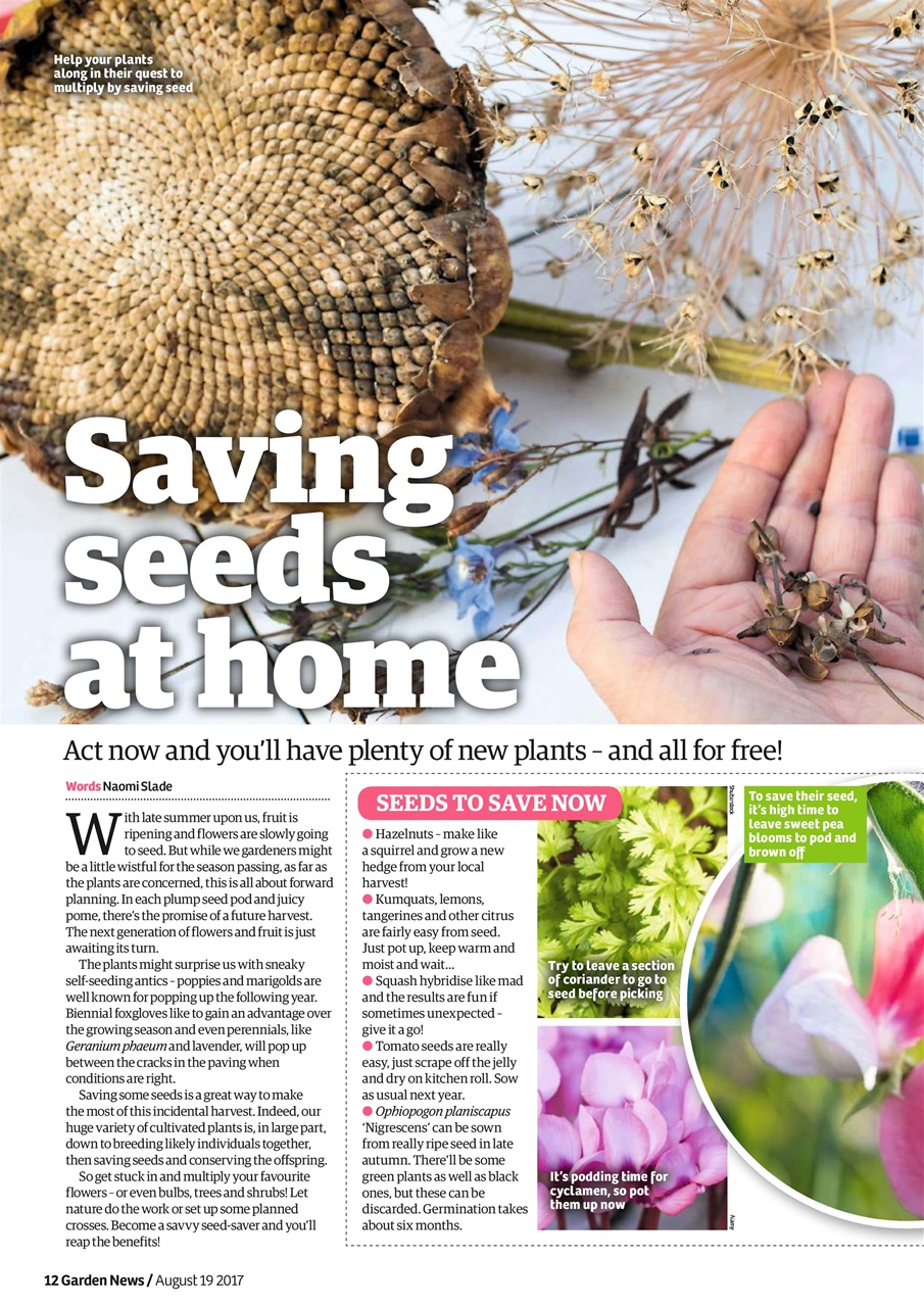 Garden News Preview Pages