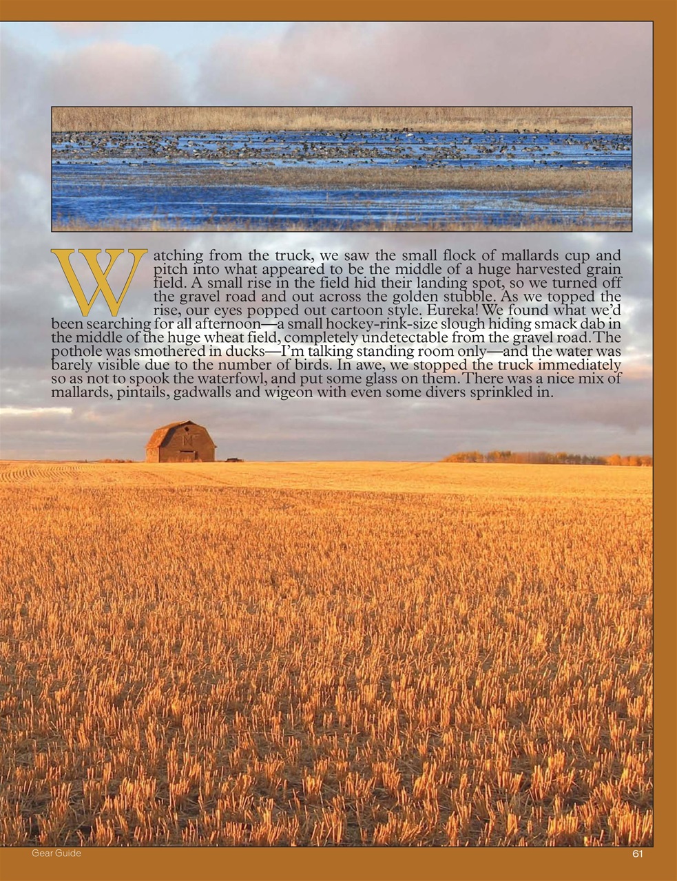 American Waterfowler Preview Pages