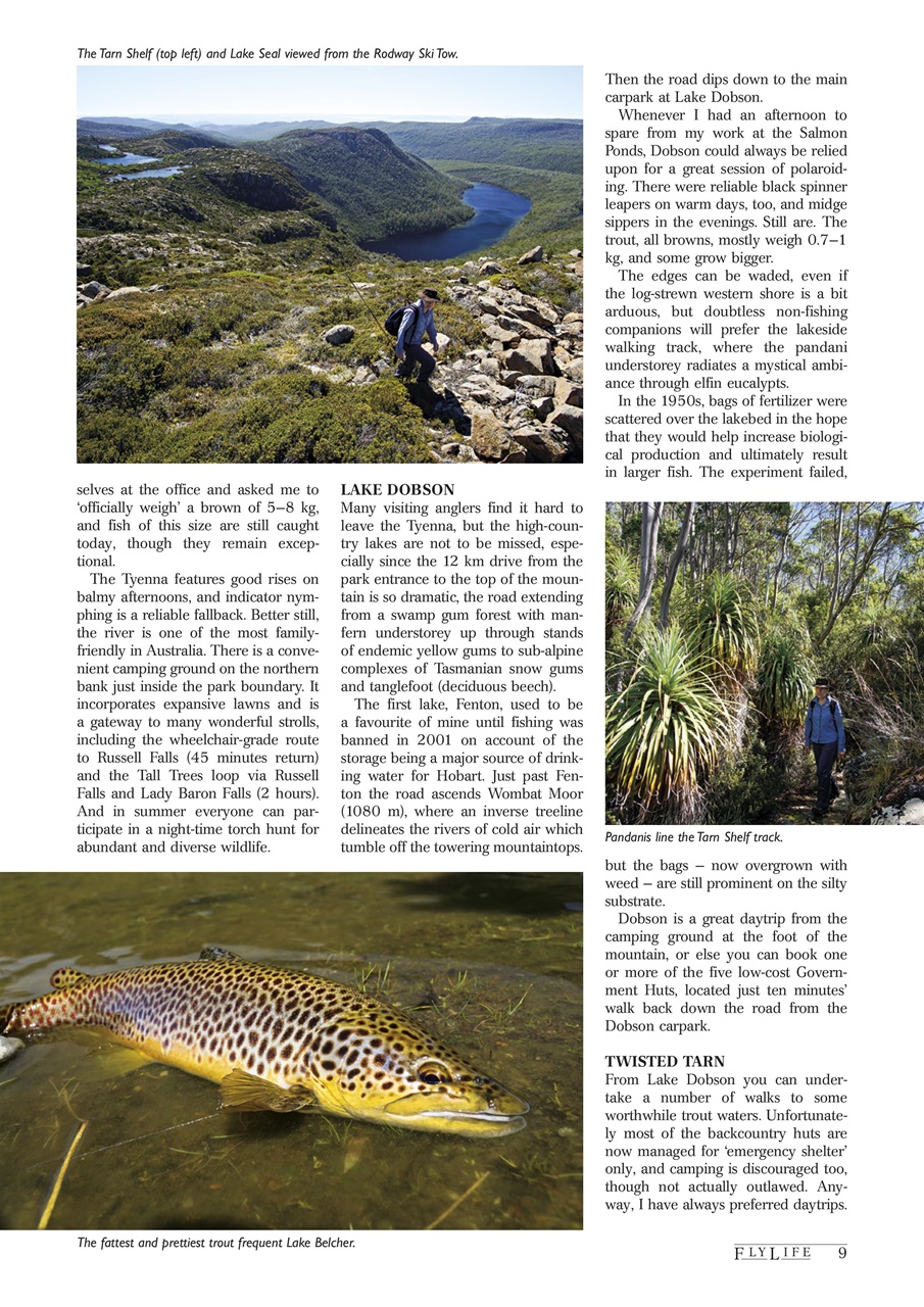 FlyLife Preview Pages