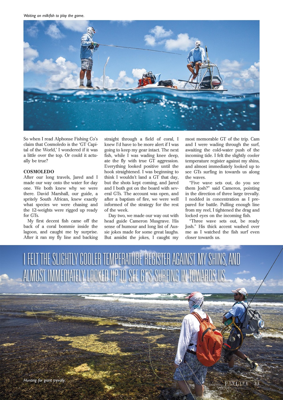 FlyLife Preview Pages