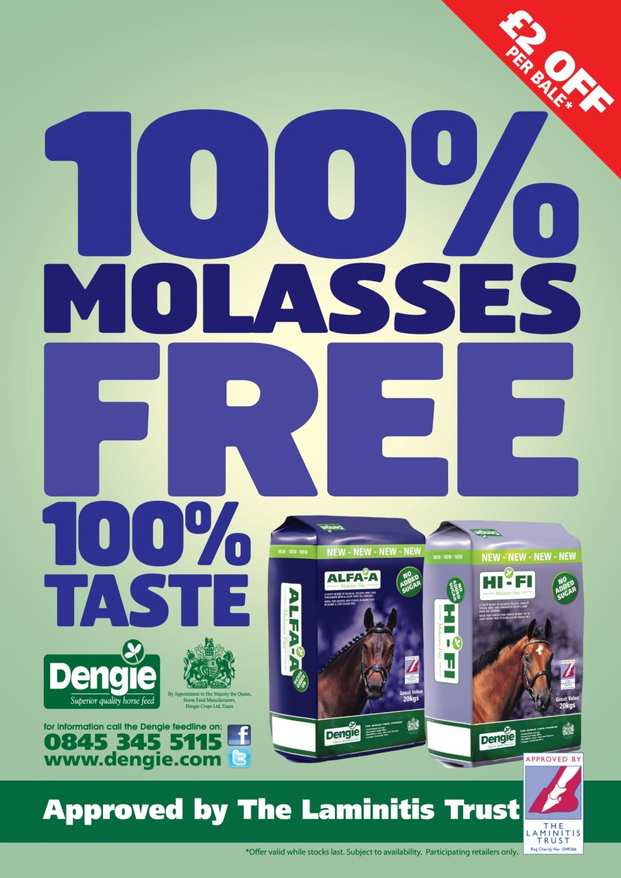 Horse&Rider Magazine - UK equestrian magazine for Horse and Rider Preview Pages