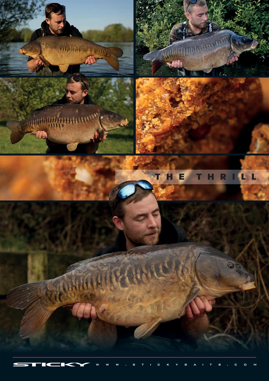 Carpworld Preview Pages