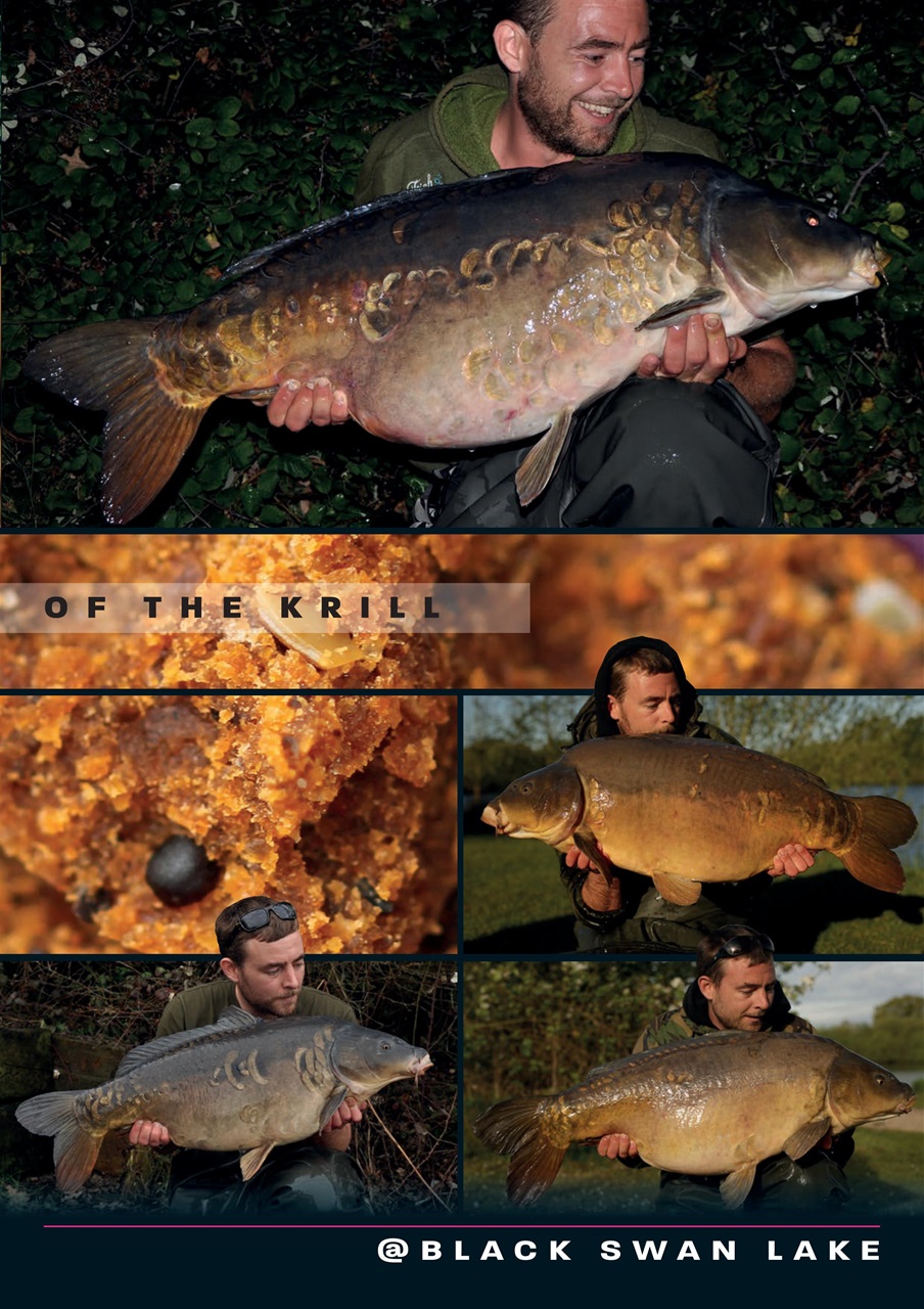 Carpworld Preview Pages