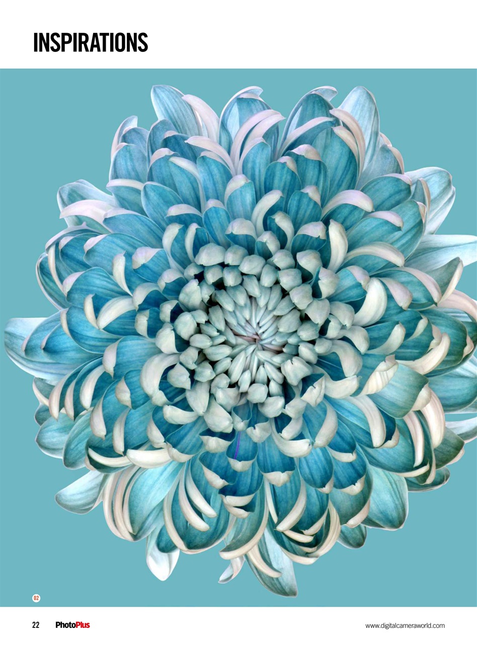 PhotoPlus Preview Pages