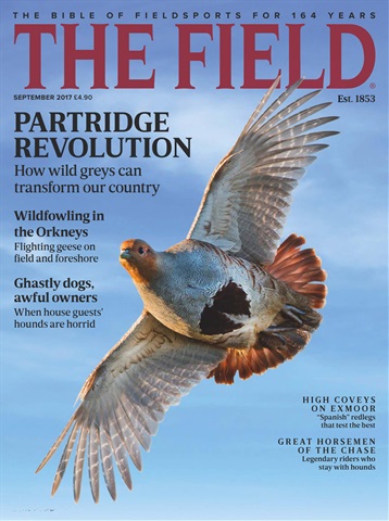 The Field issue September 2017