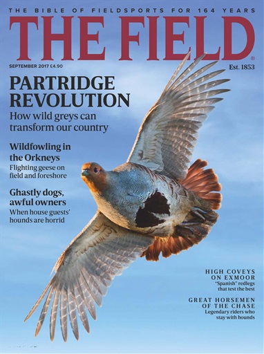 The Field issue 