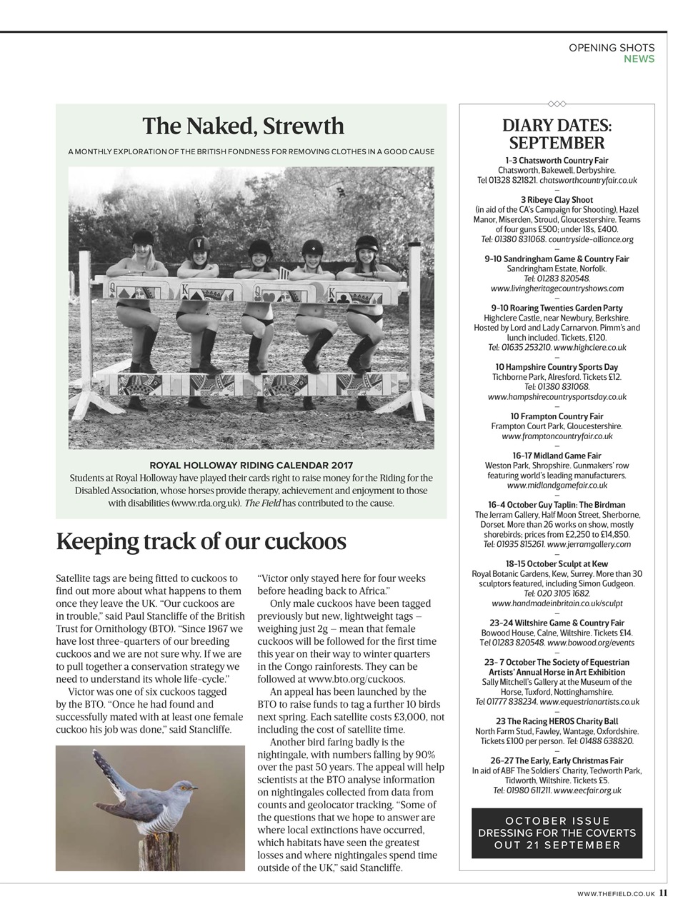 The Field Preview Pages