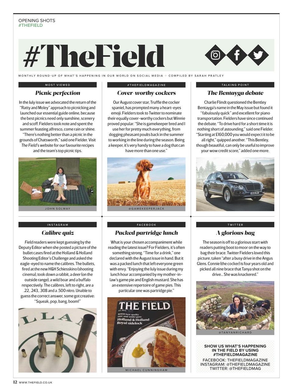 The Field Preview Pages