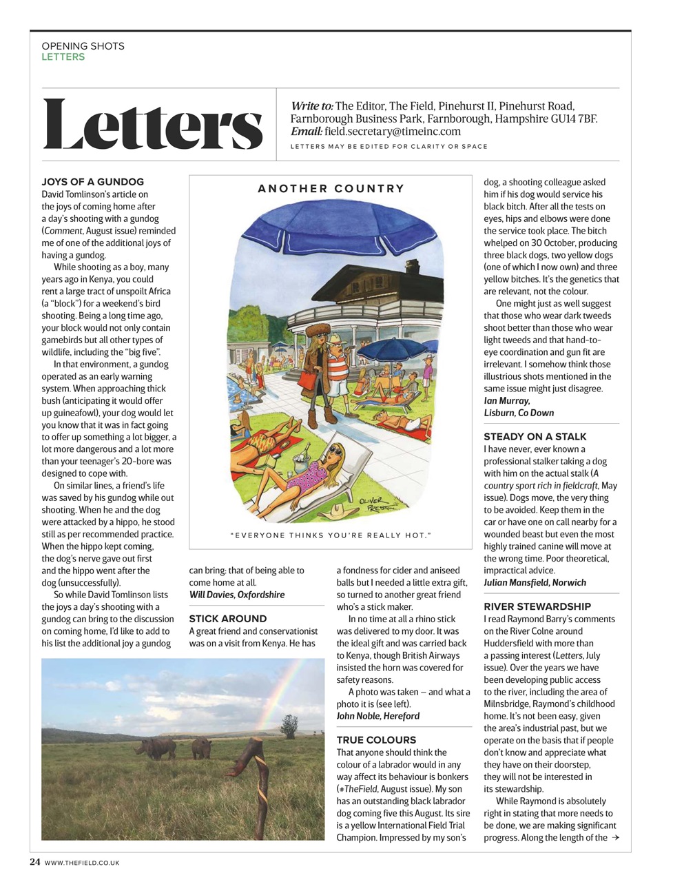 The Field Preview Pages