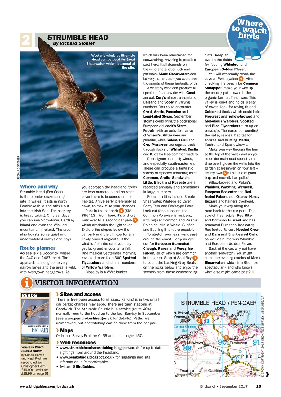 Birdwatch Magazine Preview Pages